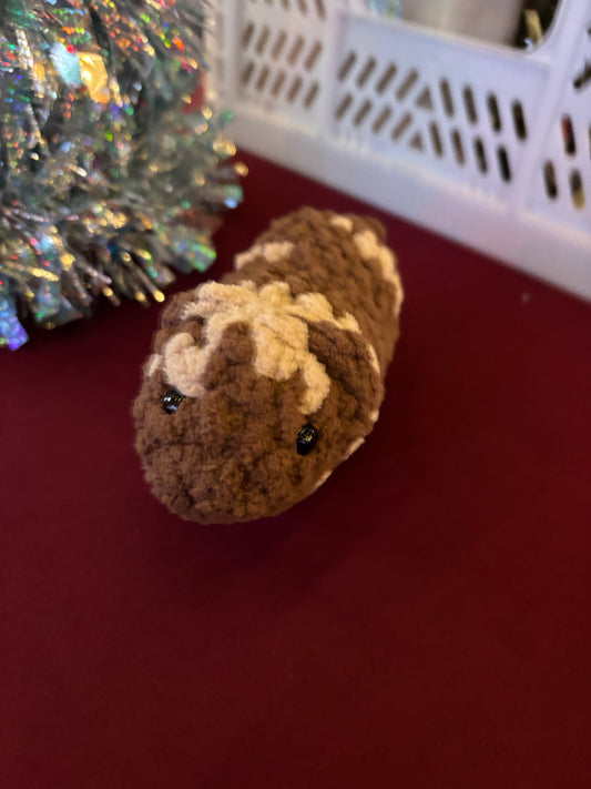 guinea pig